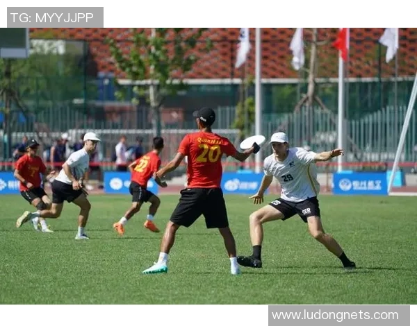 最新飞盘耐力TOP10：成都飞盘队领跑